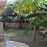 Apollon فندق