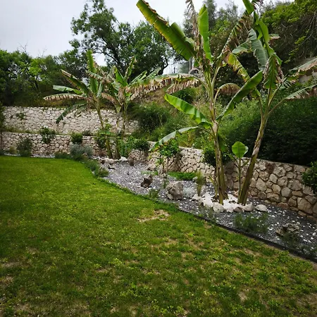 Hotel Apollon Tolo