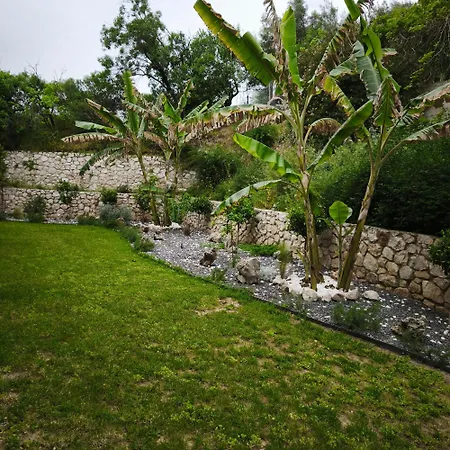 Hotel Apollon Tolo